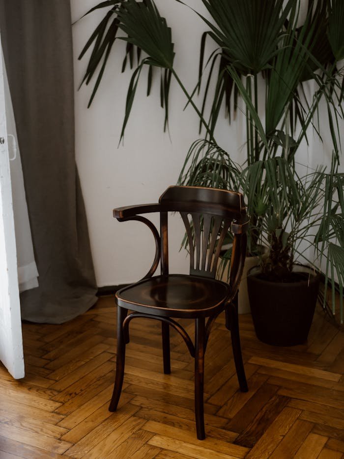 Elegant wooden chair surrounded by lush indoor plants in a cozy corner.